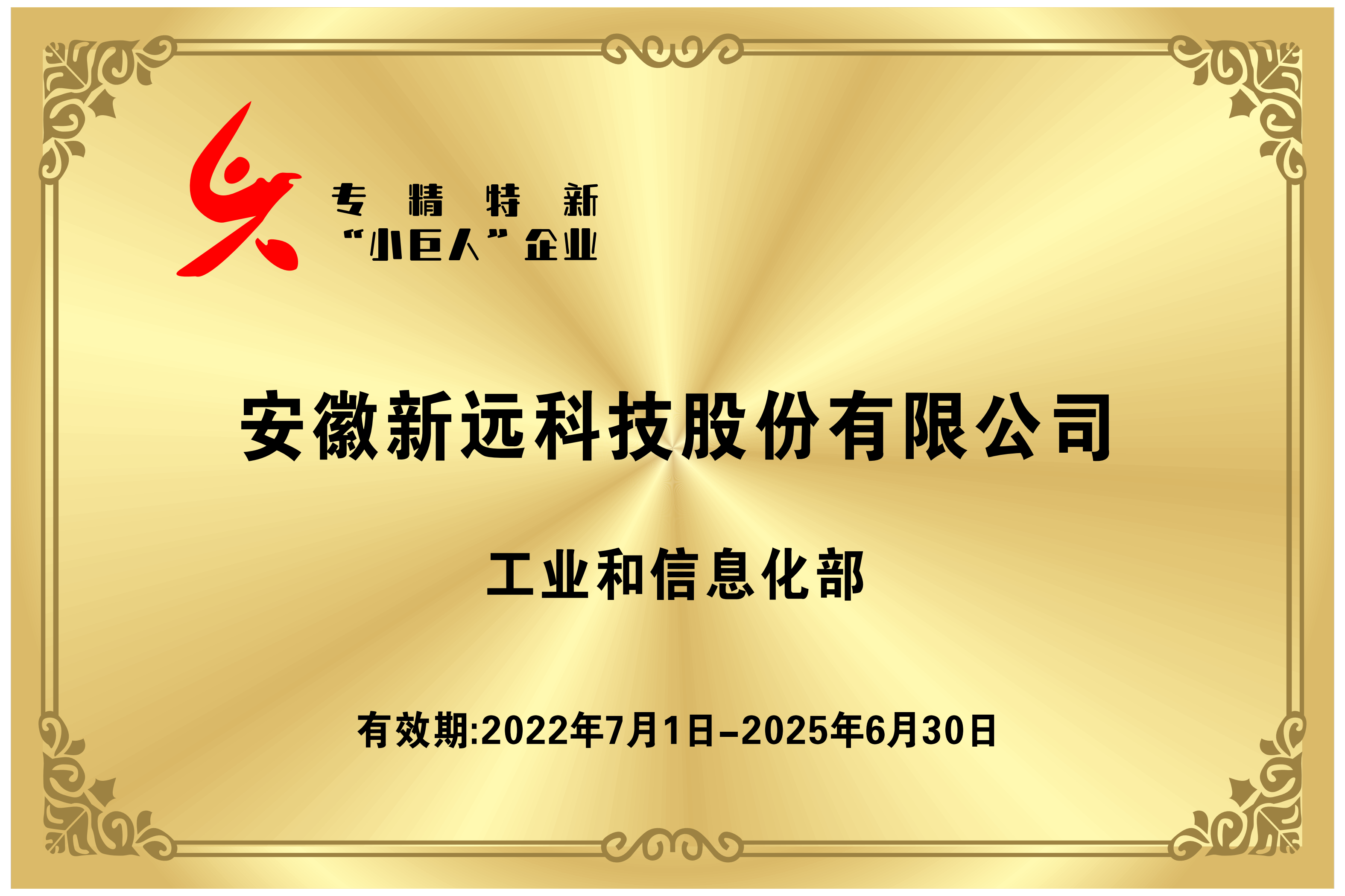 Specialized, refined, distinctive and innovative "little giant" enterprises